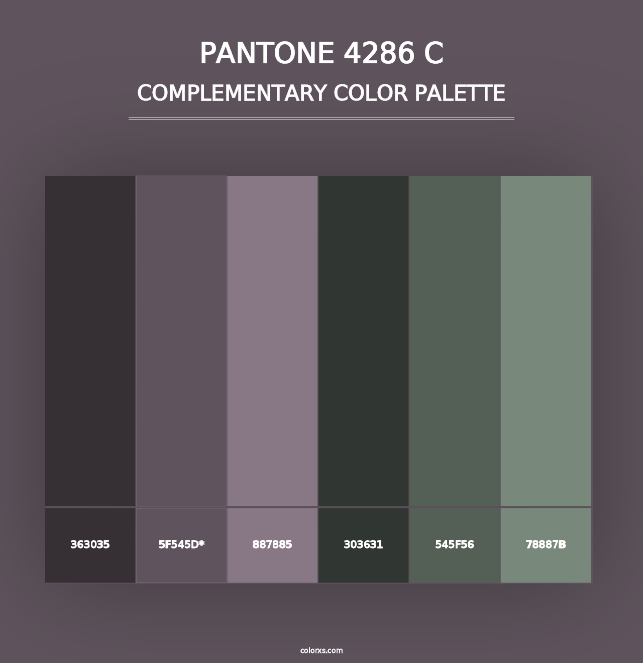 PANTONE 4286 C - Complementary Color Palette