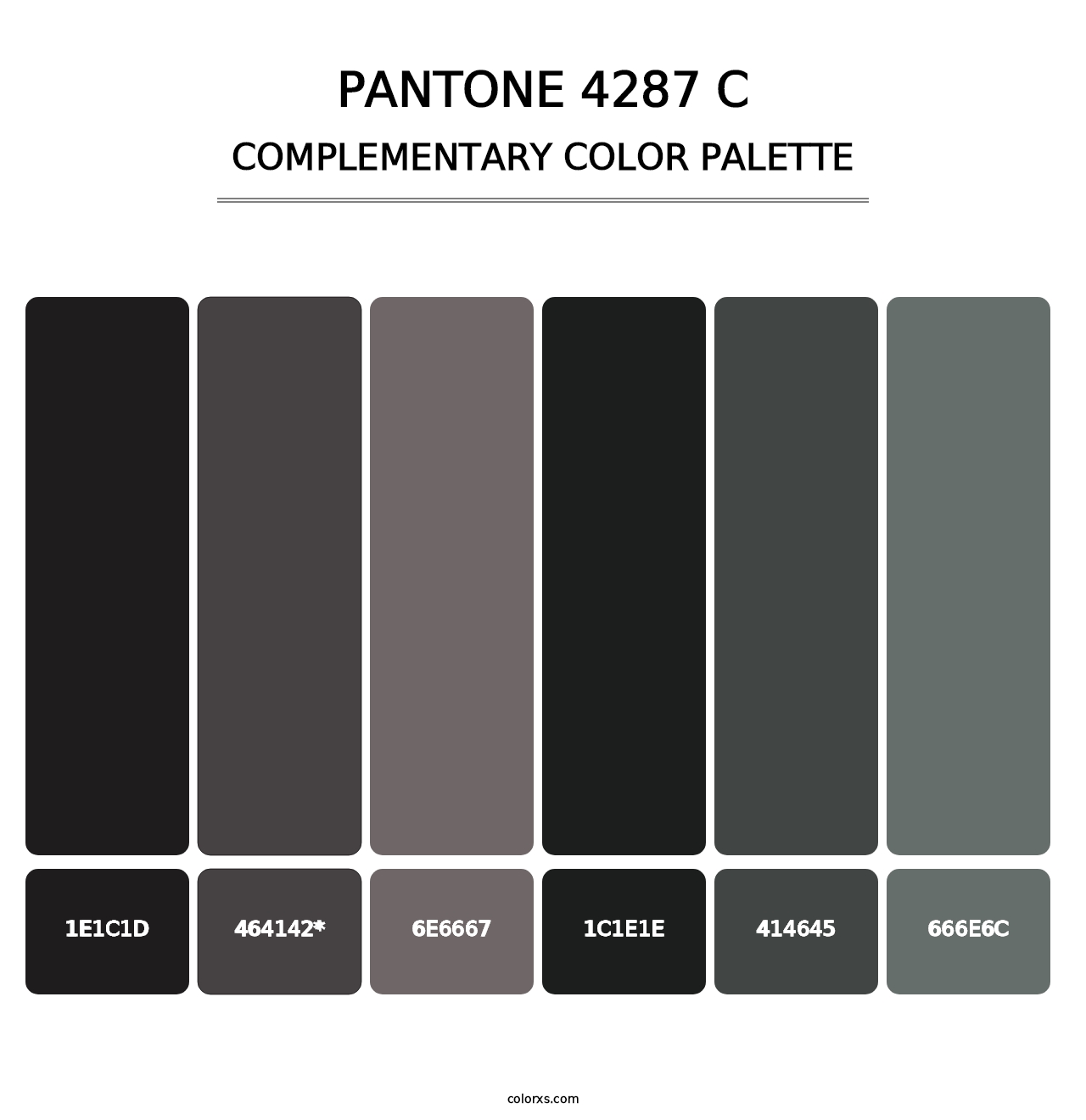 PANTONE 4287 C - Complementary Color Palette