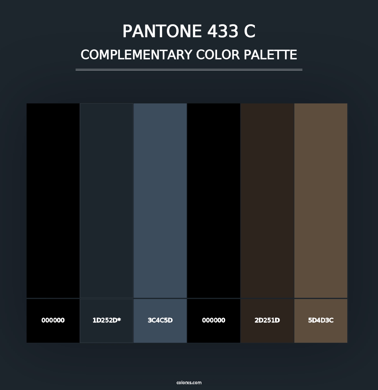 PANTONE 433 C - Complementary Color Palette