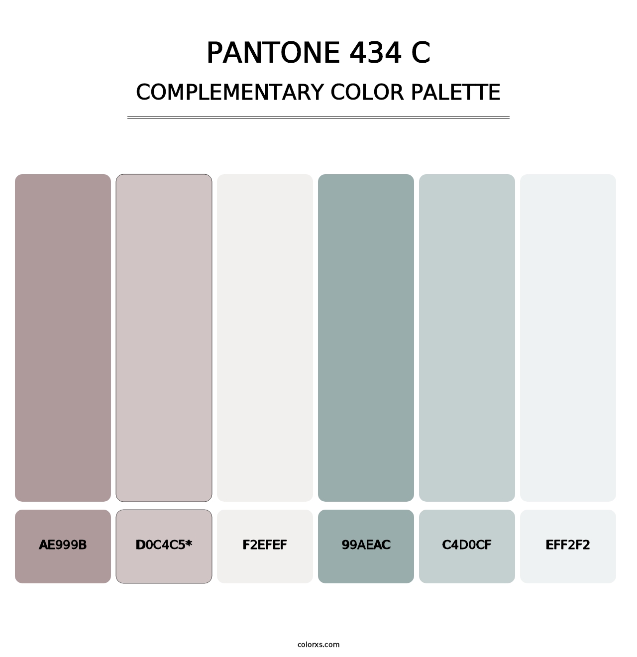 PANTONE 434 C - Complementary Color Palette