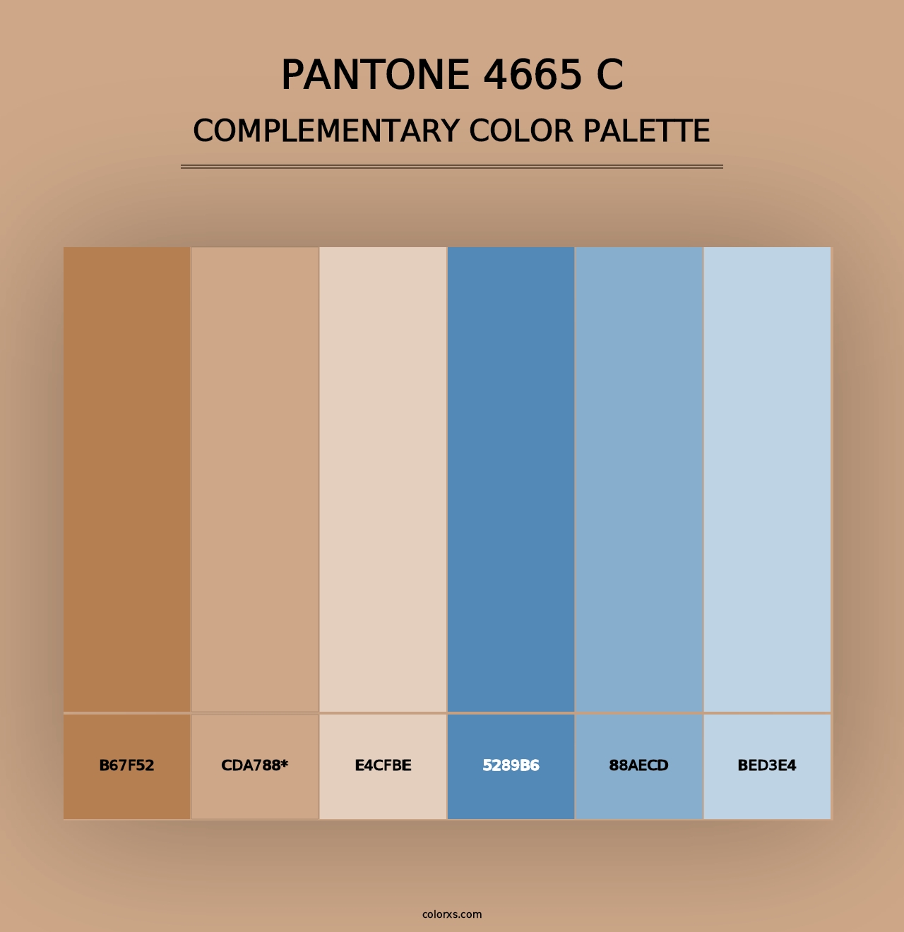 PANTONE 4665 C - Complementary Color Palette