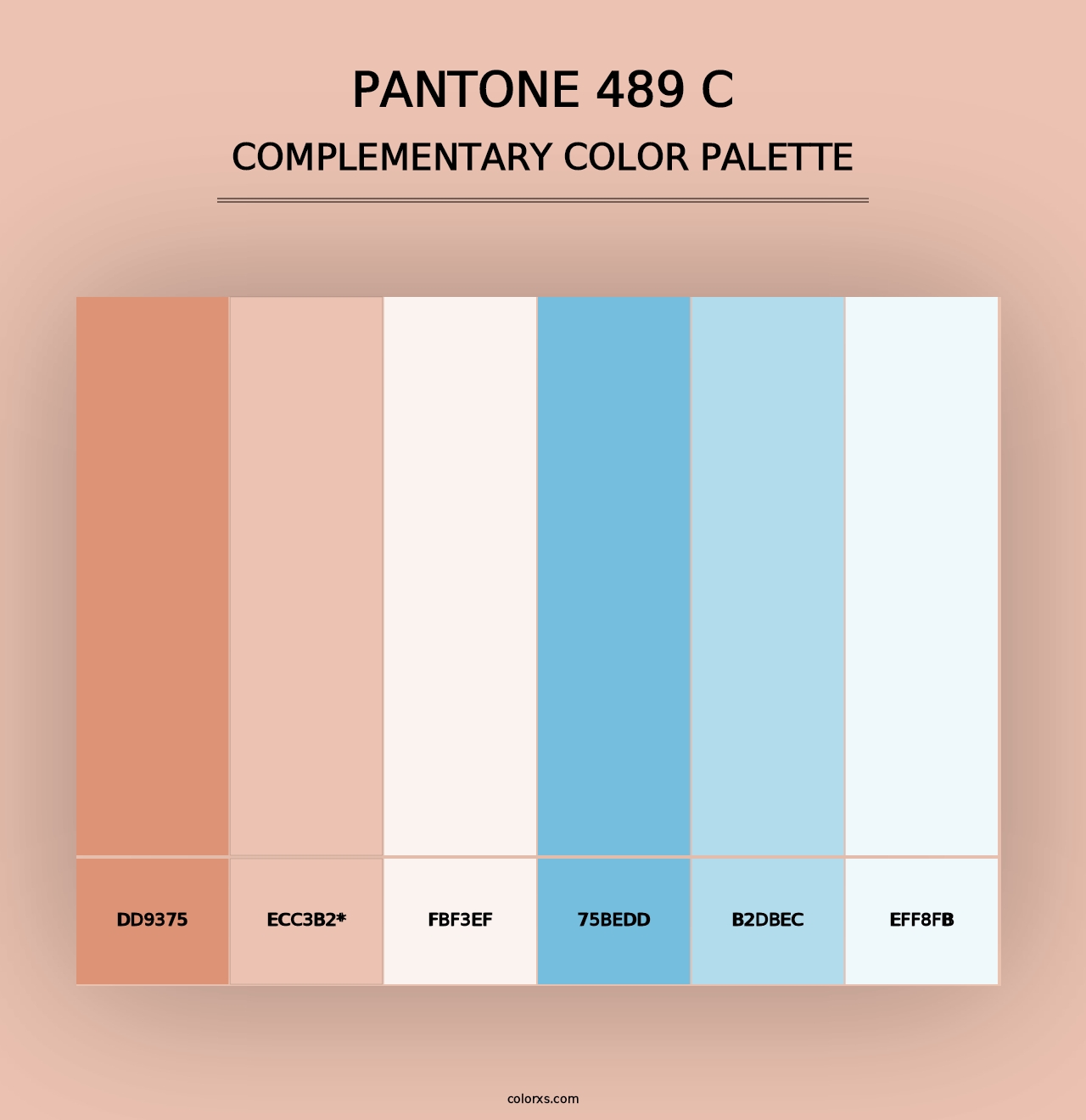 PANTONE 489 C - Complementary Color Palette