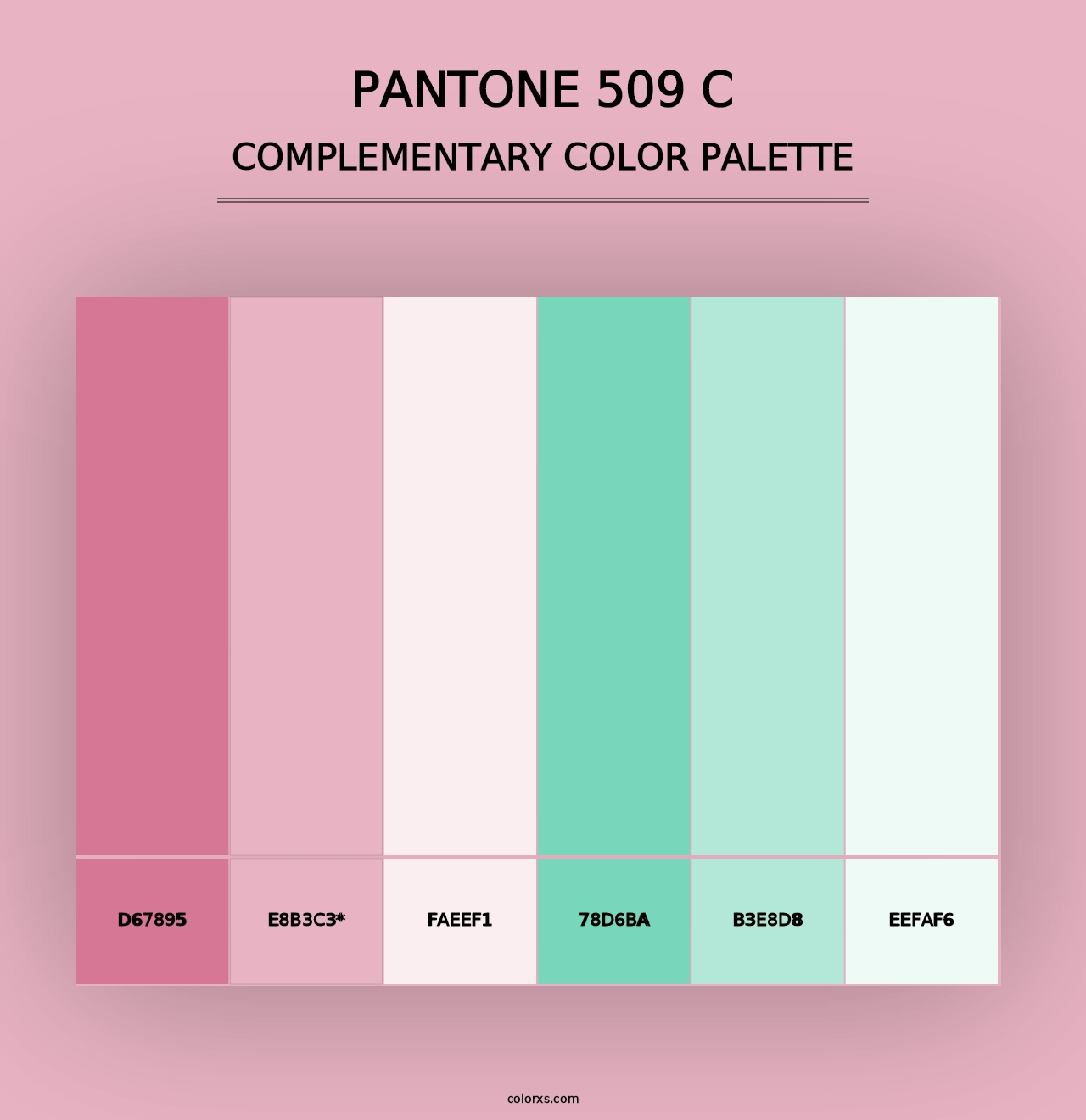 PANTONE 509 C - Complementary Color Palette