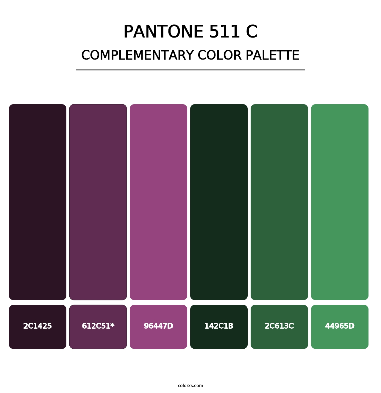 PANTONE 511 C - Complementary Color Palette