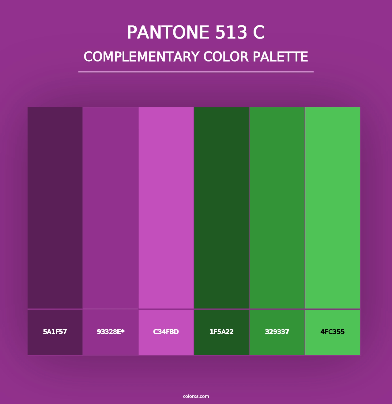 PANTONE 513 C - Complementary Color Palette