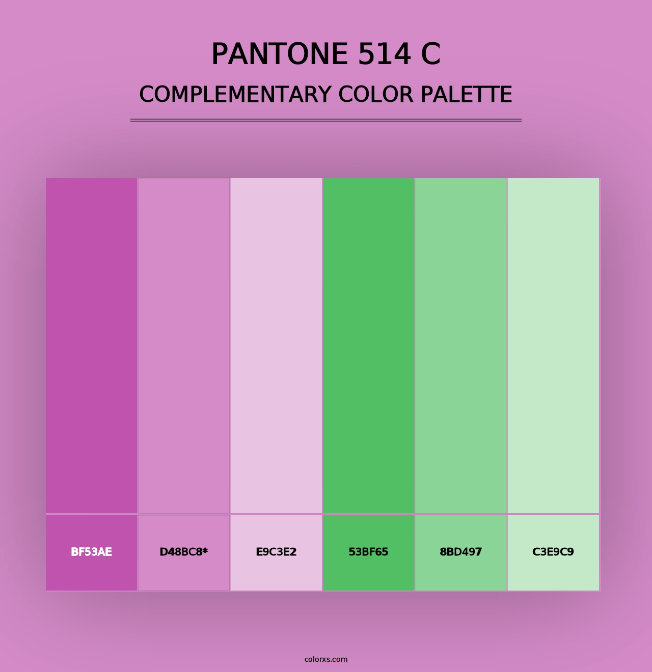 PANTONE 514 C - Complementary Color Palette