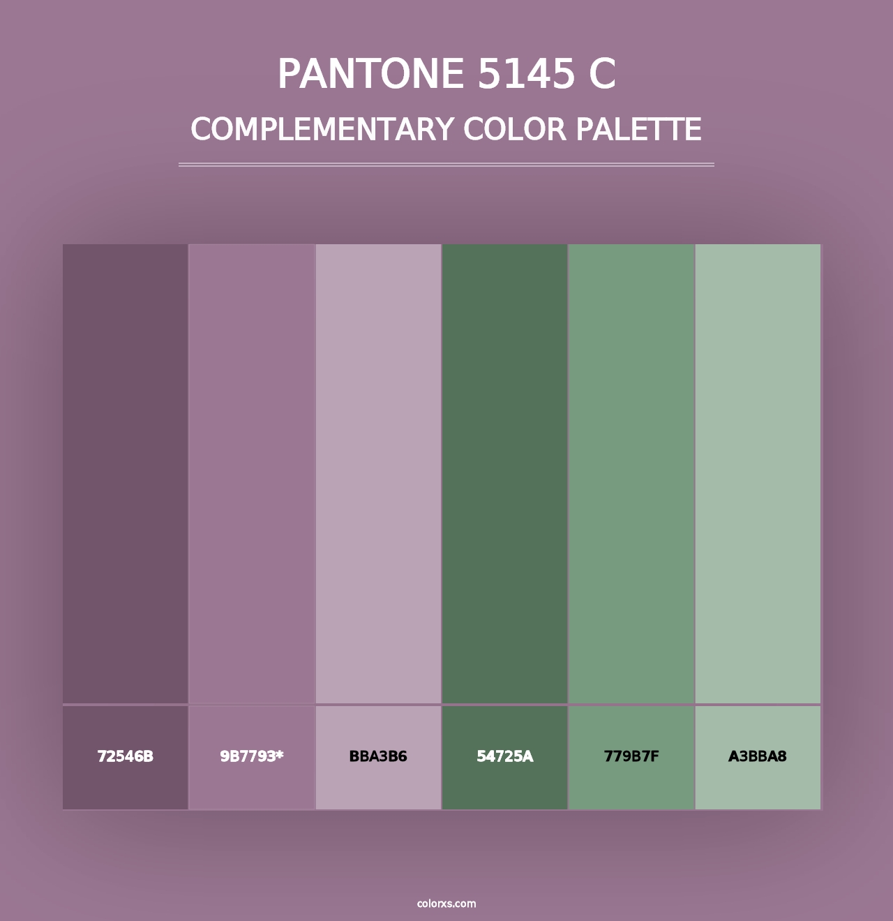 PANTONE 5145 C - Complementary Color Palette