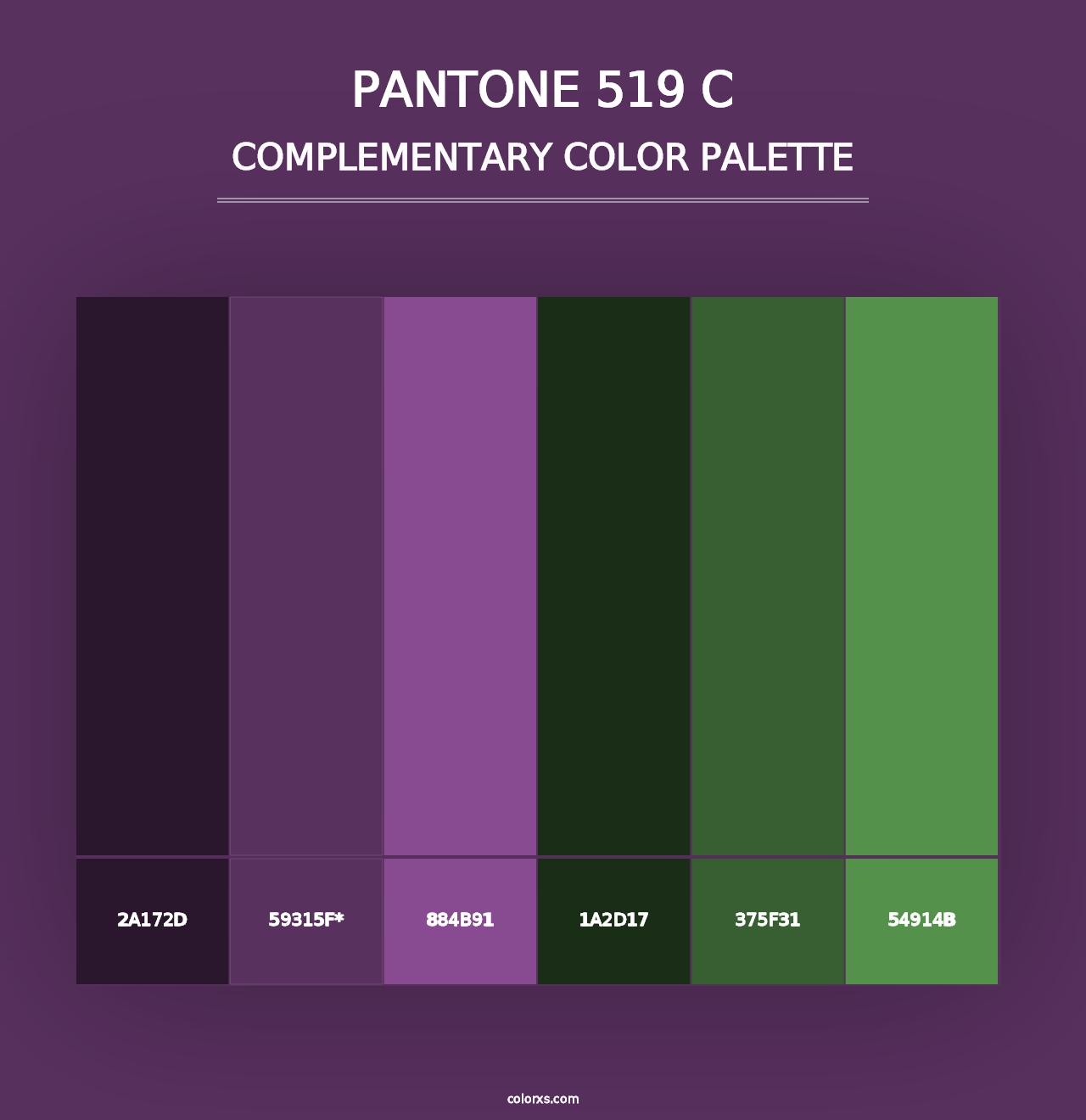 PANTONE 519 C - Complementary Color Palette