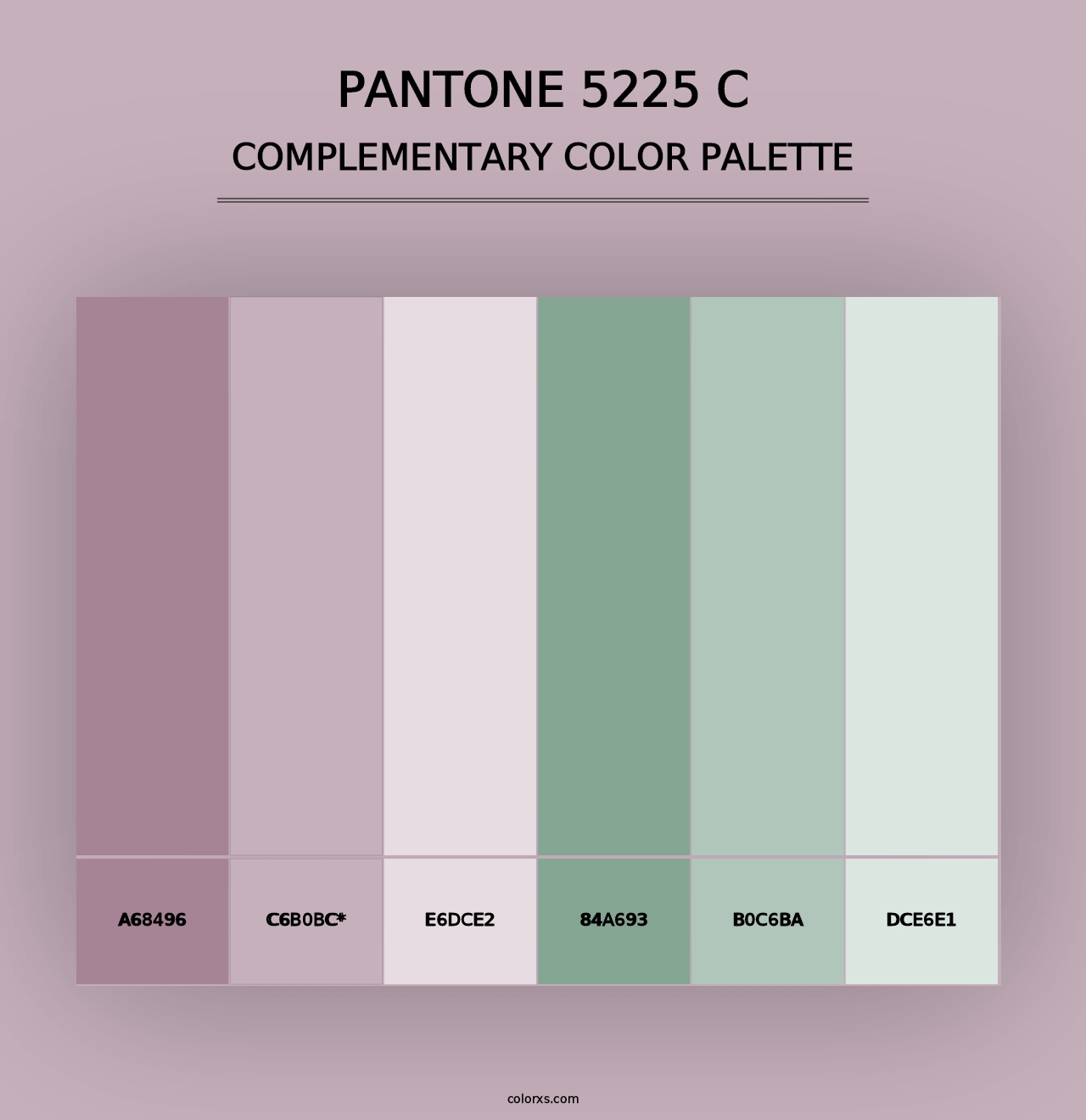 PANTONE 5225 C - Complementary Color Palette