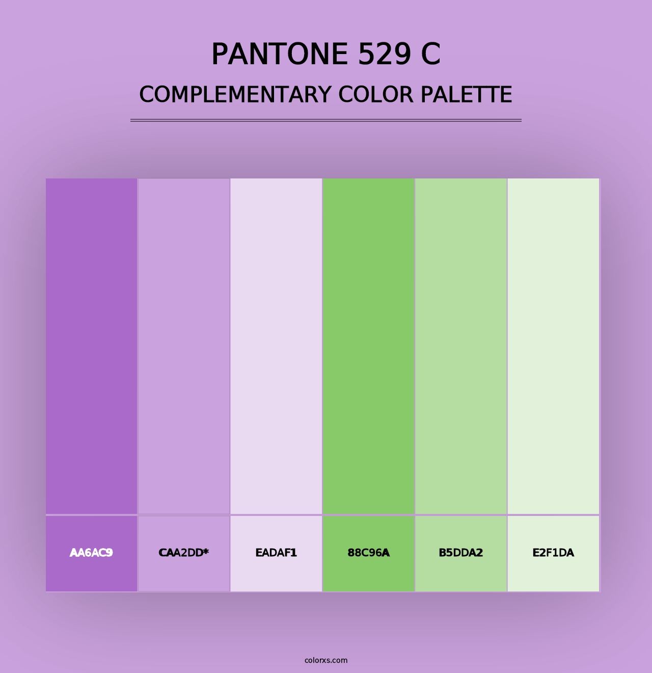 PANTONE 529 C - Complementary Color Palette