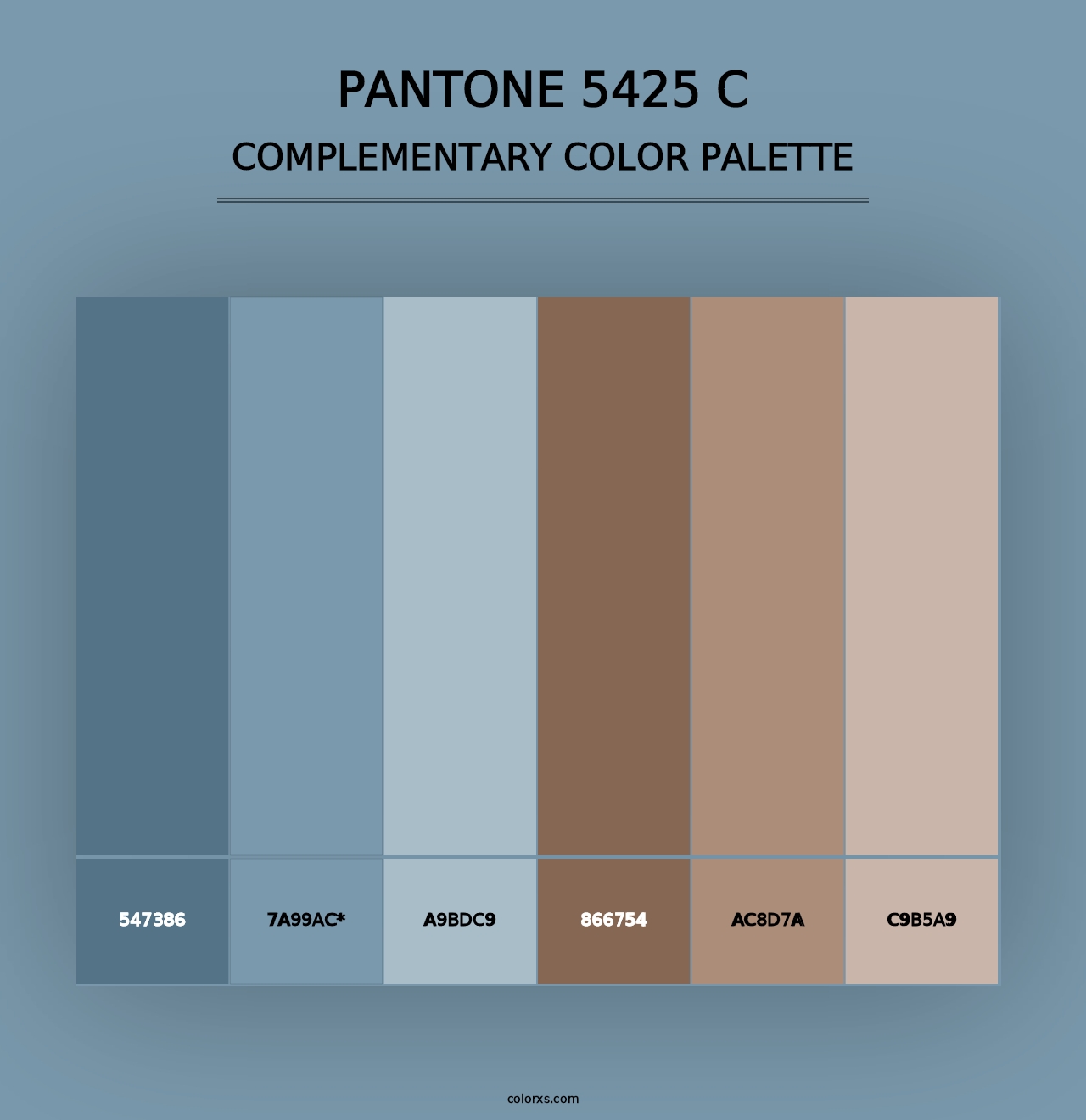 PANTONE 5425 C - Complementary Color Palette