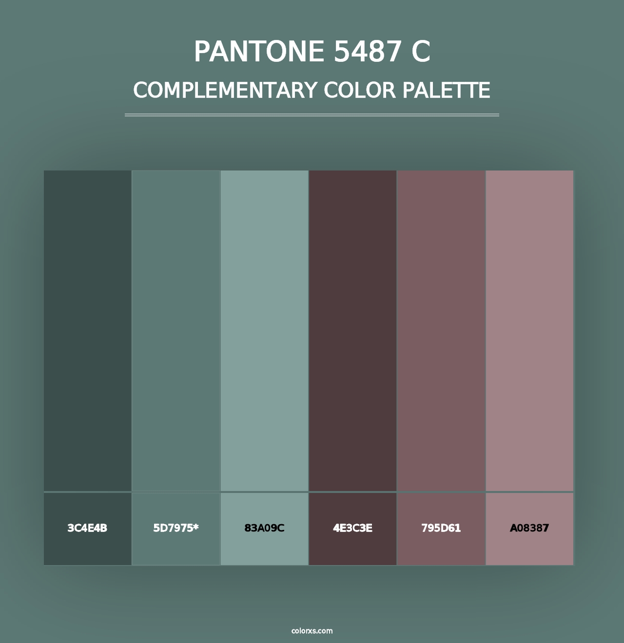 PANTONE 5487 C - Complementary Color Palette