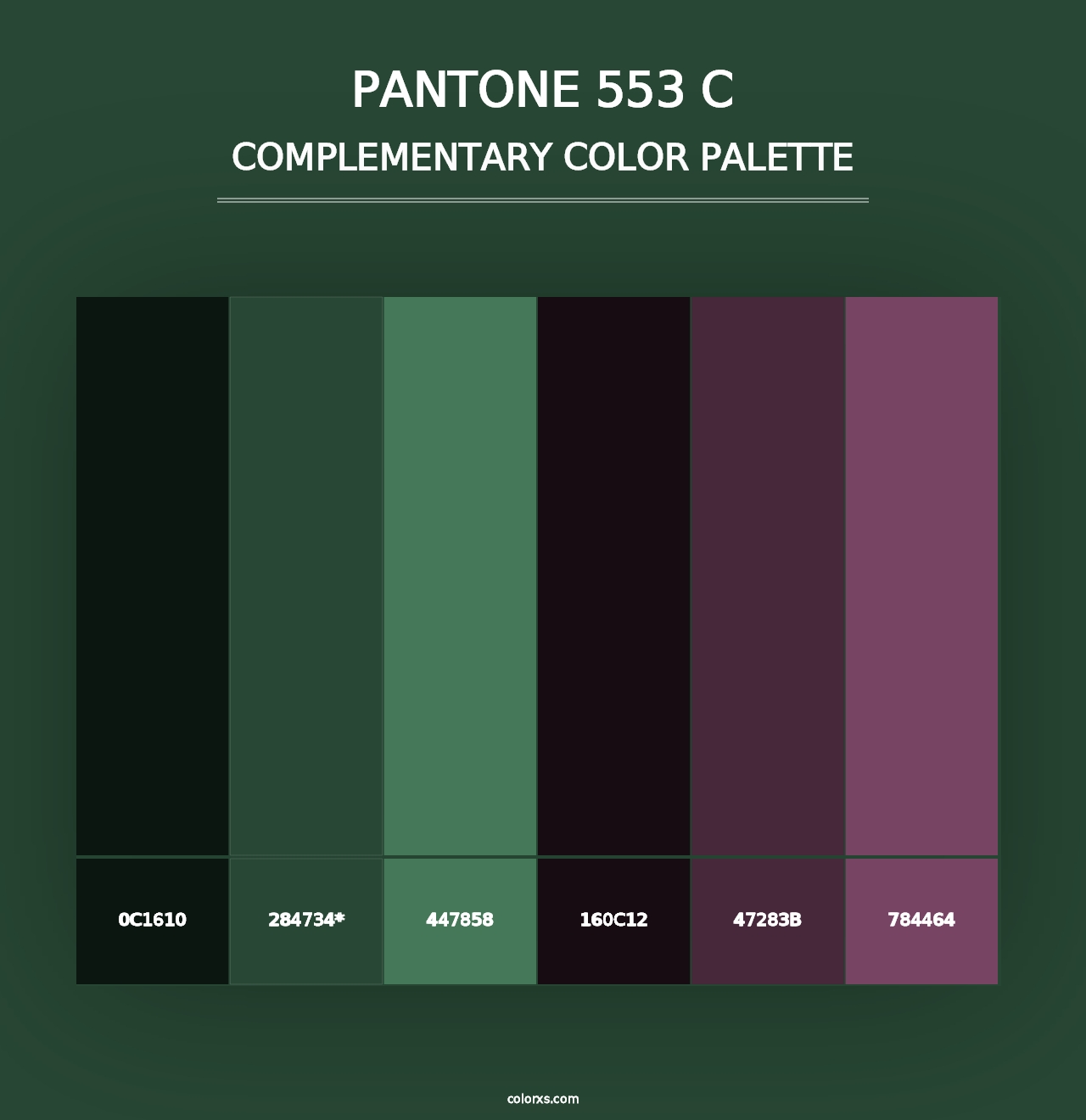 PANTONE 553 C - Complementary Color Palette