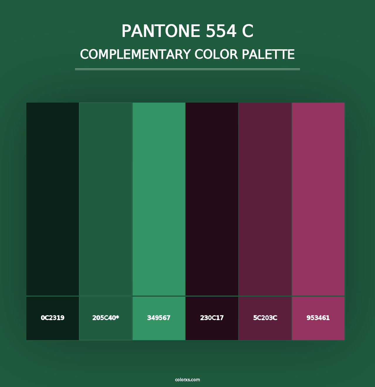 PANTONE 554 C - Complementary Color Palette