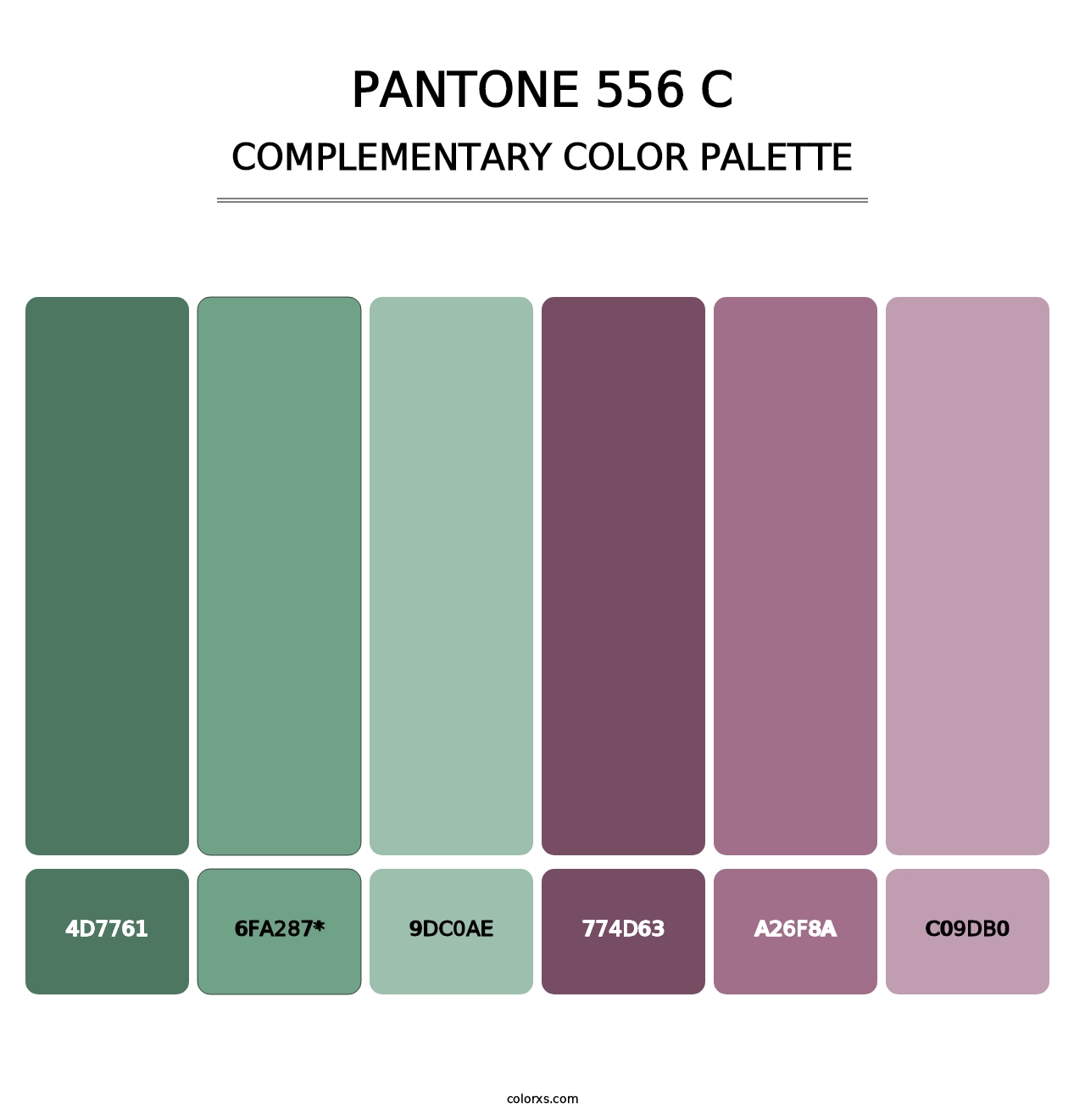 PANTONE 556 C - Complementary Color Palette