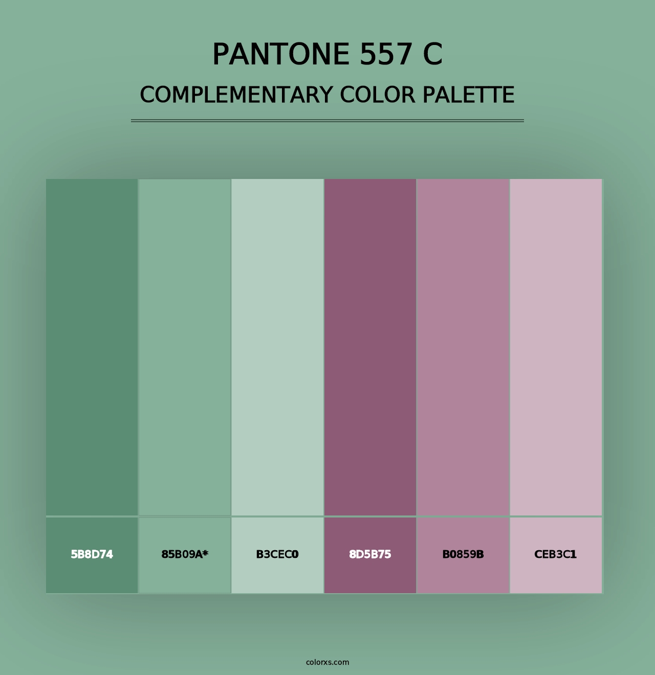 PANTONE 557 C - Complementary Color Palette