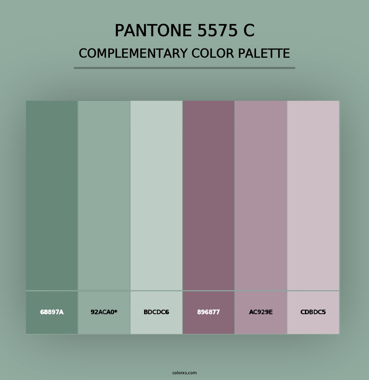 PANTONE 5575 C - Complementary Color Palette