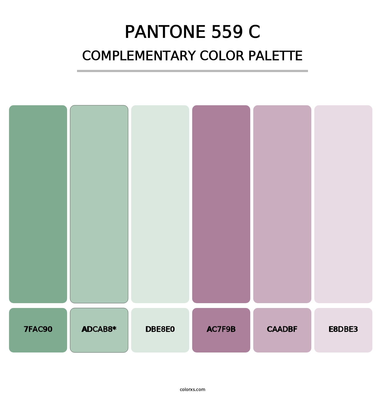 PANTONE 559 C - Complementary Color Palette