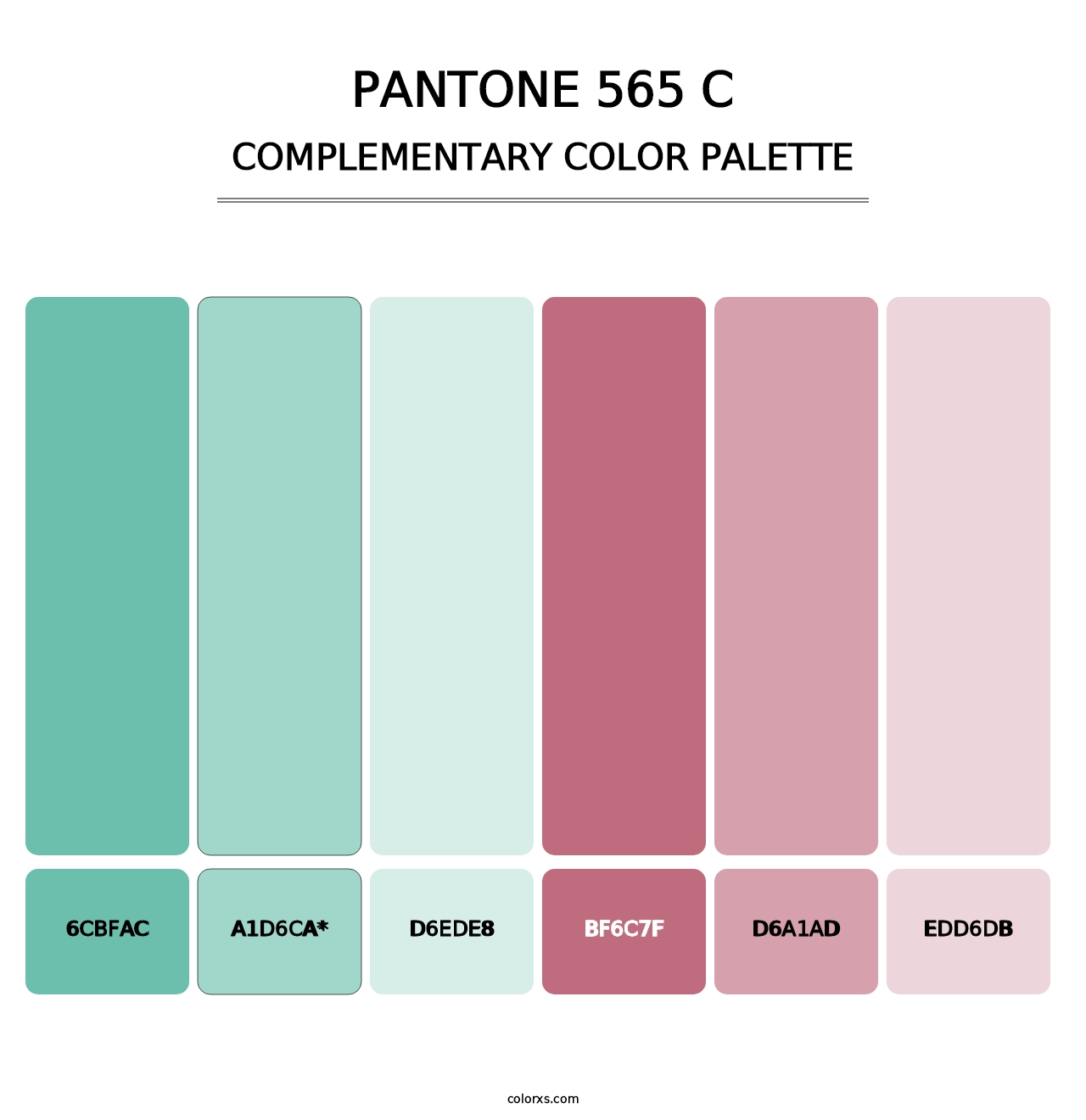 PANTONE 565 C - Complementary Color Palette