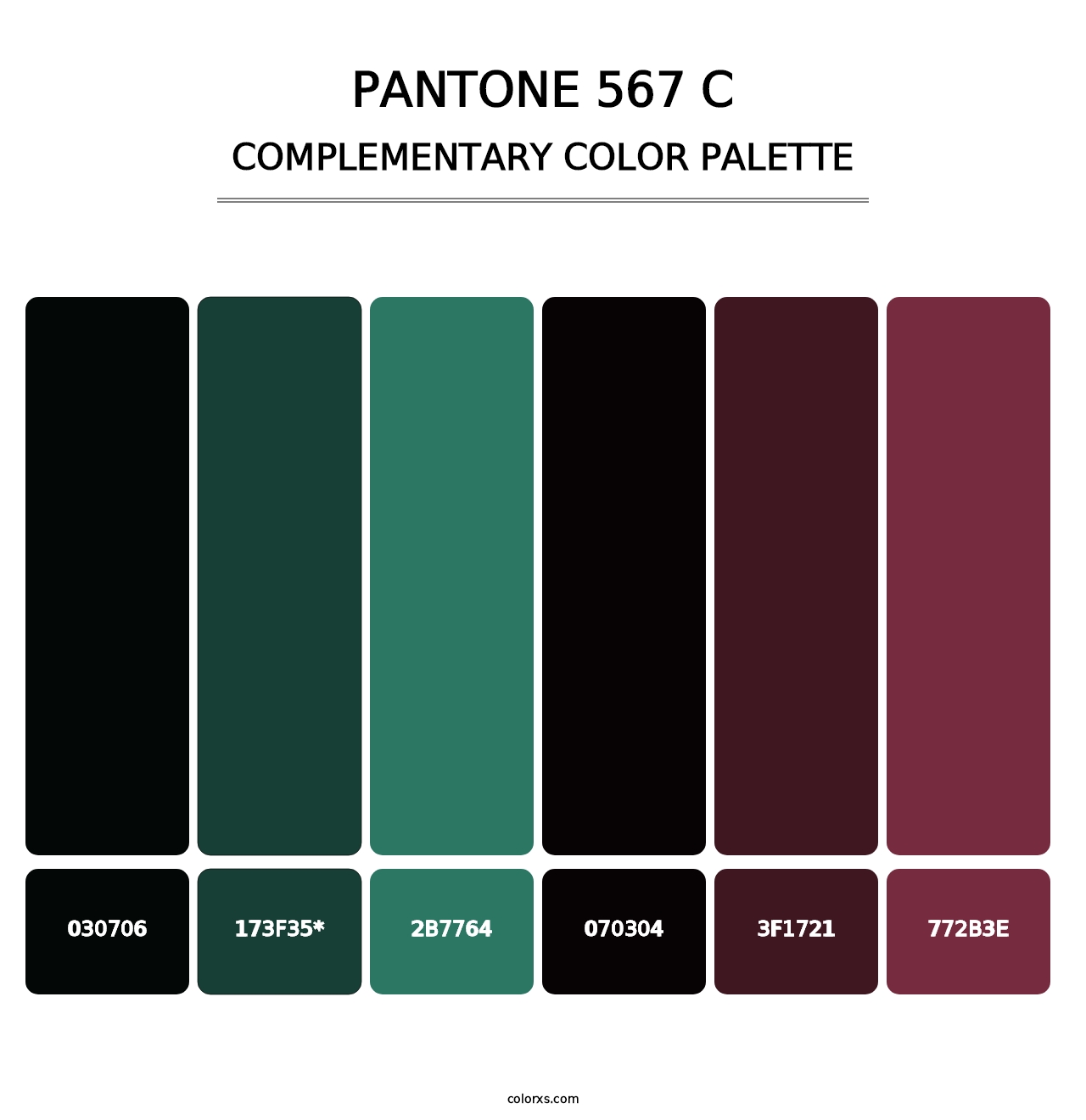 PANTONE 567 C - Complementary Color Palette