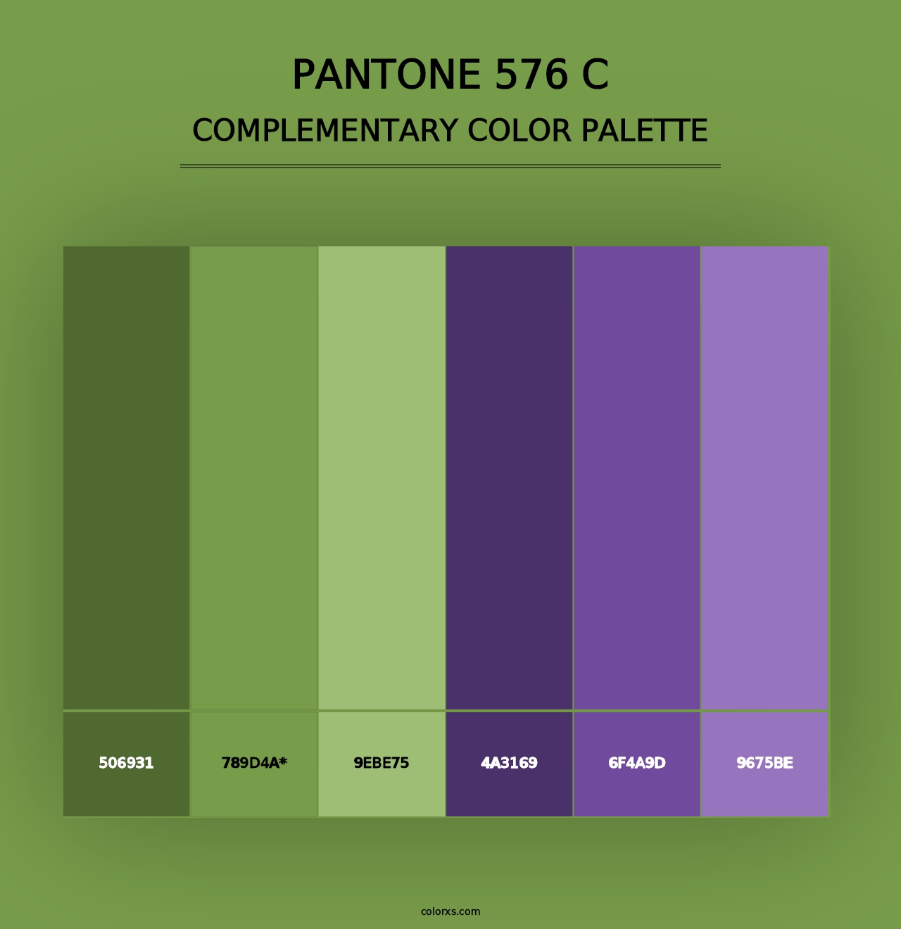 PANTONE 576 C - Complementary Color Palette