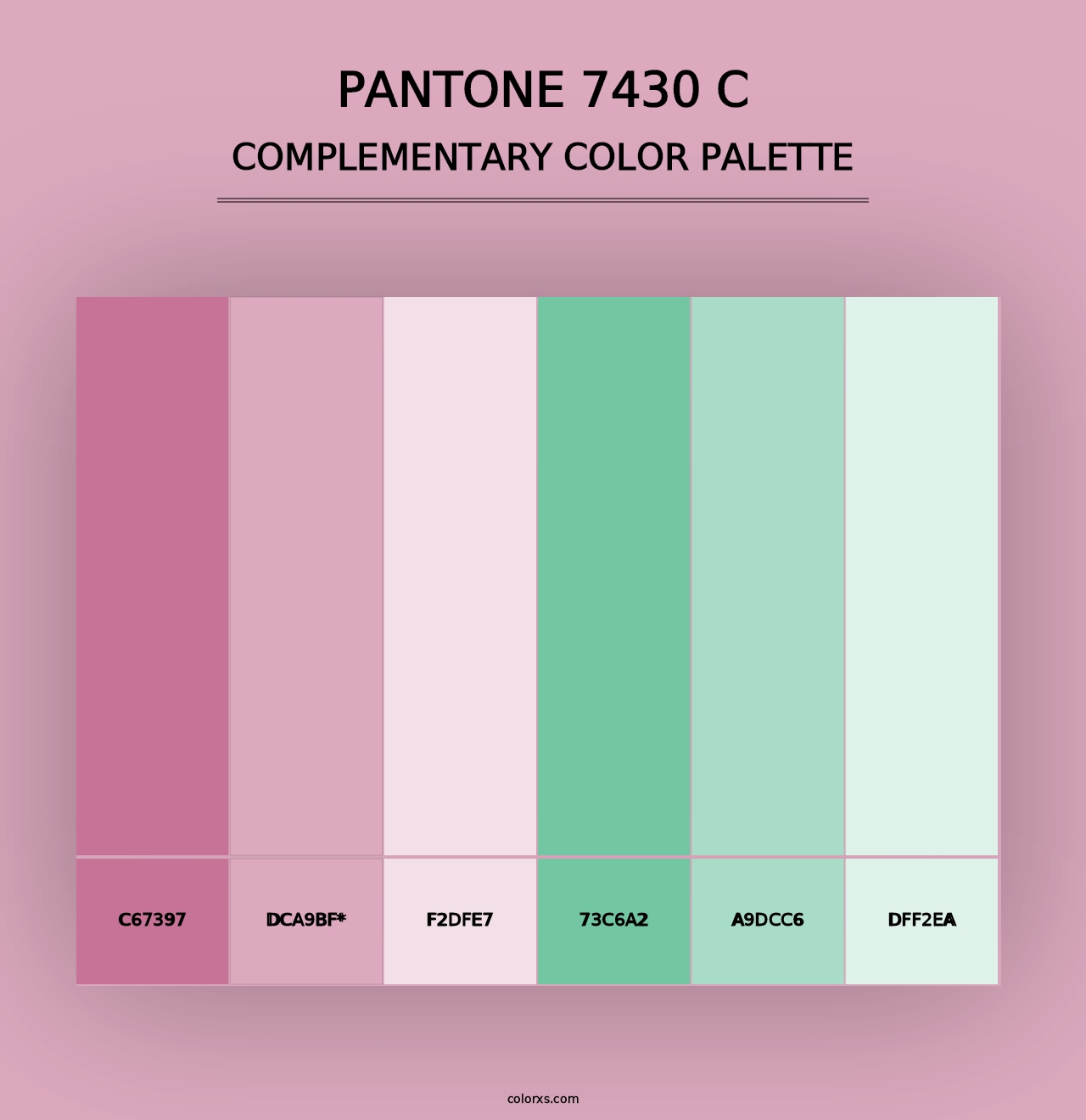 PANTONE 7430 C - Complementary Color Palette