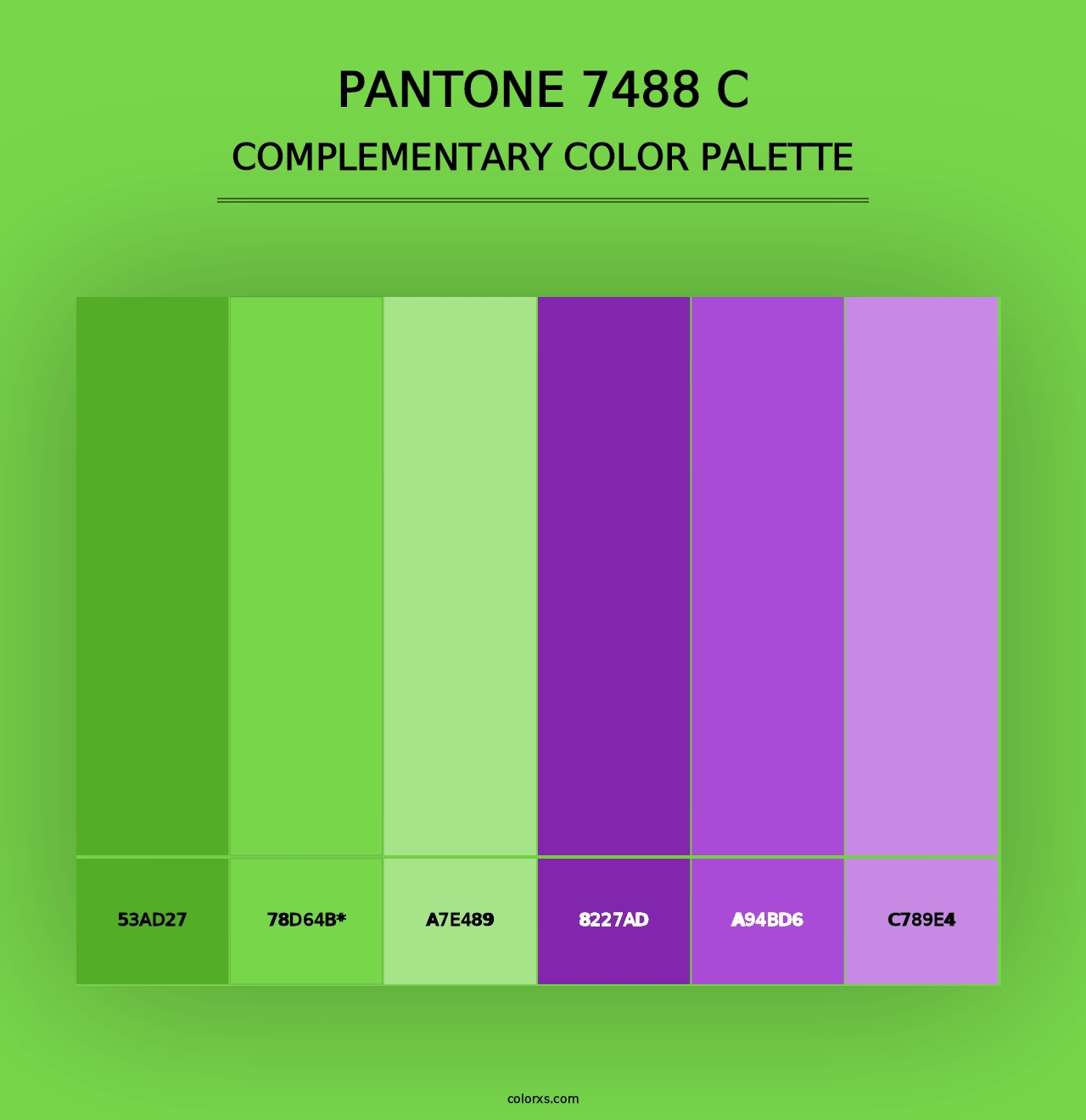 PANTONE 7488 C - Complementary Color Palette