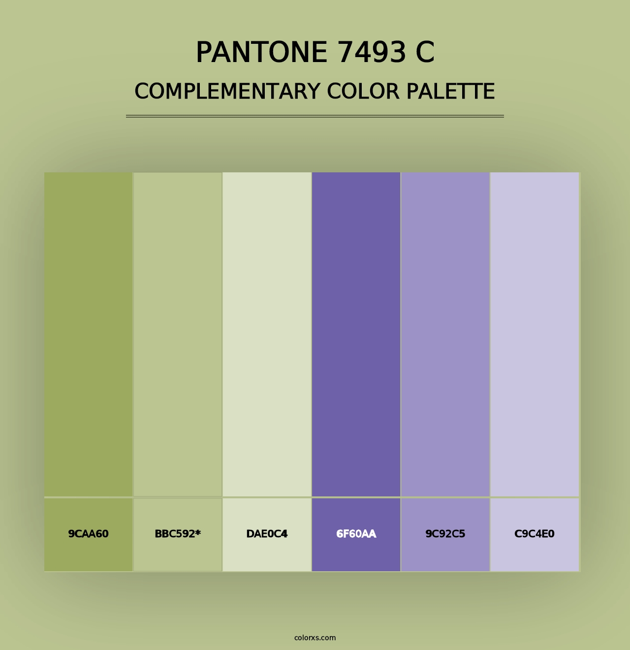 PANTONE 7493 C - Complementary Color Palette