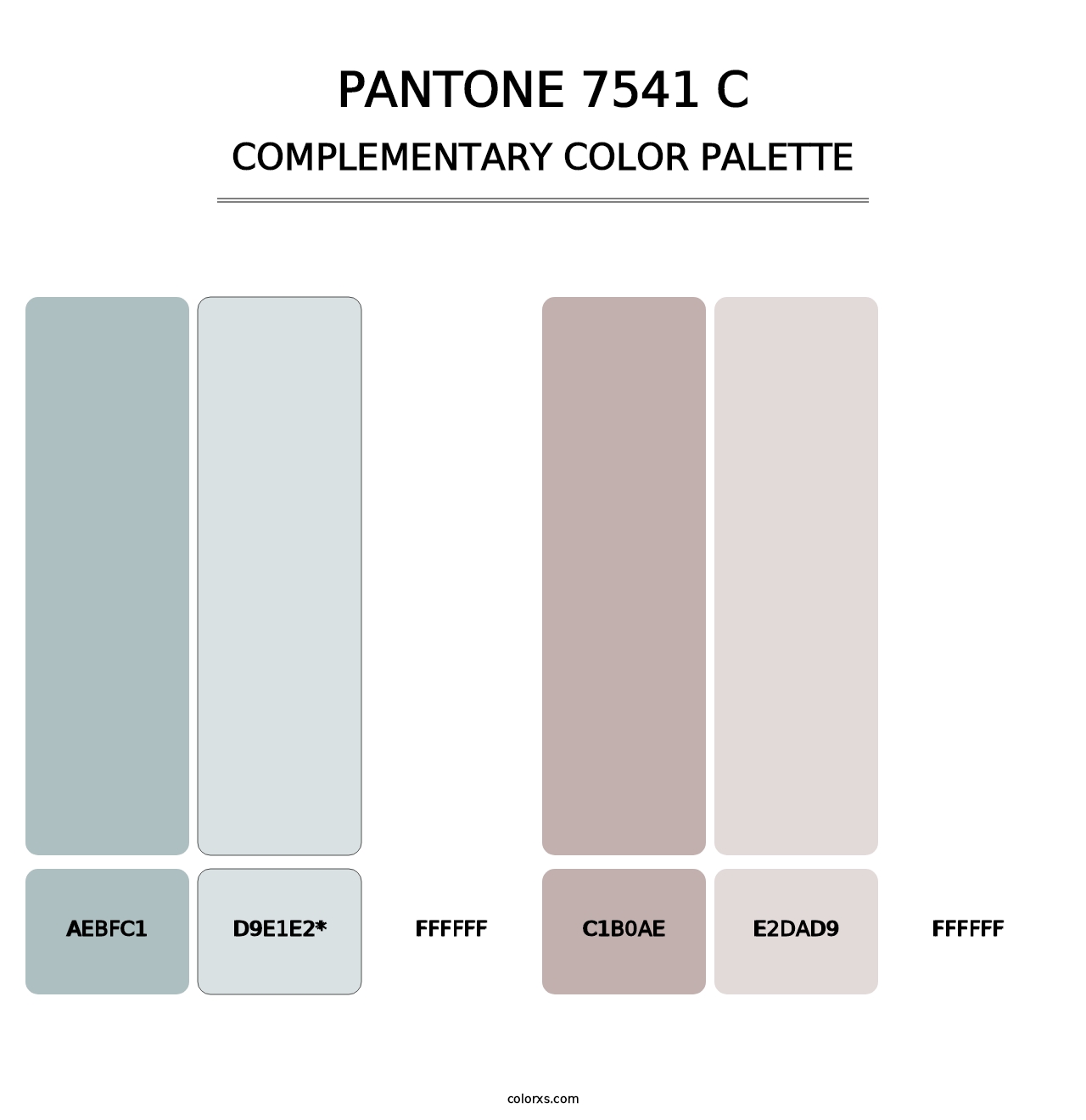 PANTONE 7541 C - Complementary Color Palette