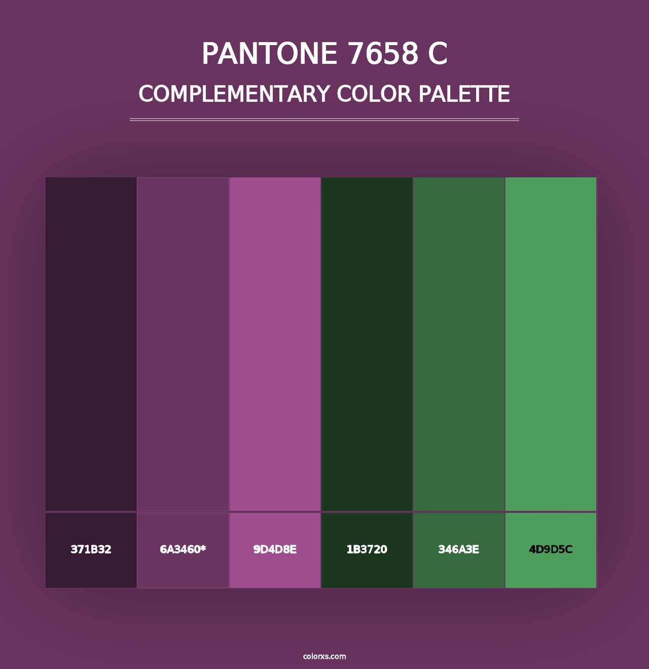 PANTONE 7658 C - Complementary Color Palette