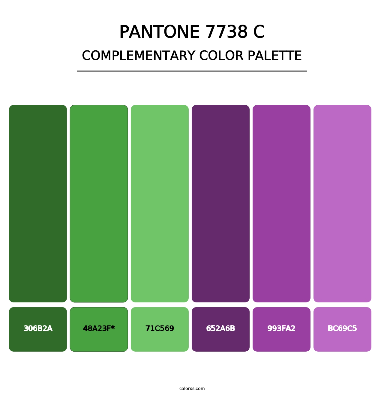 PANTONE 7738 C - Complementary Color Palette