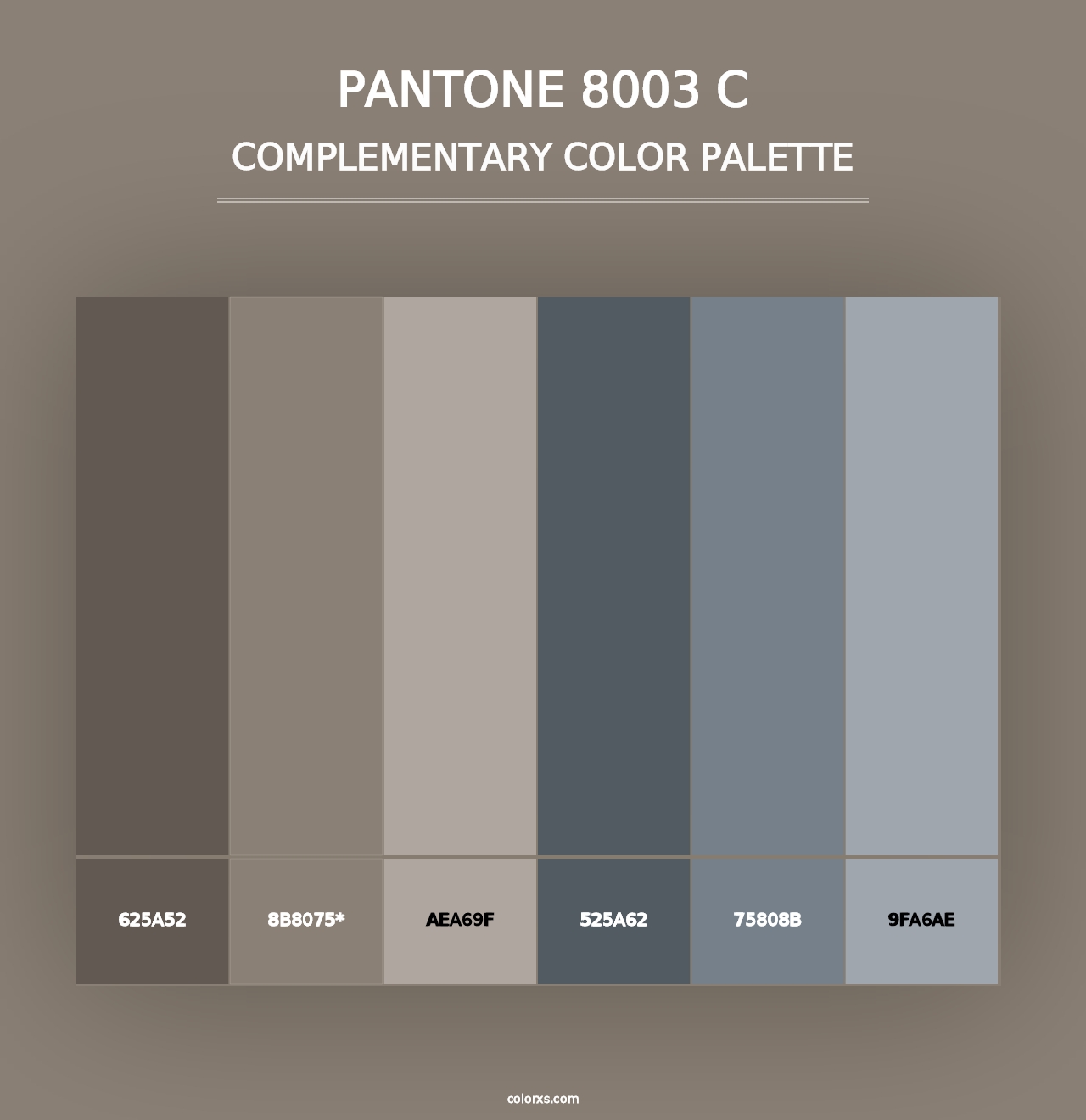 PANTONE 8003 C - Complementary Color Palette