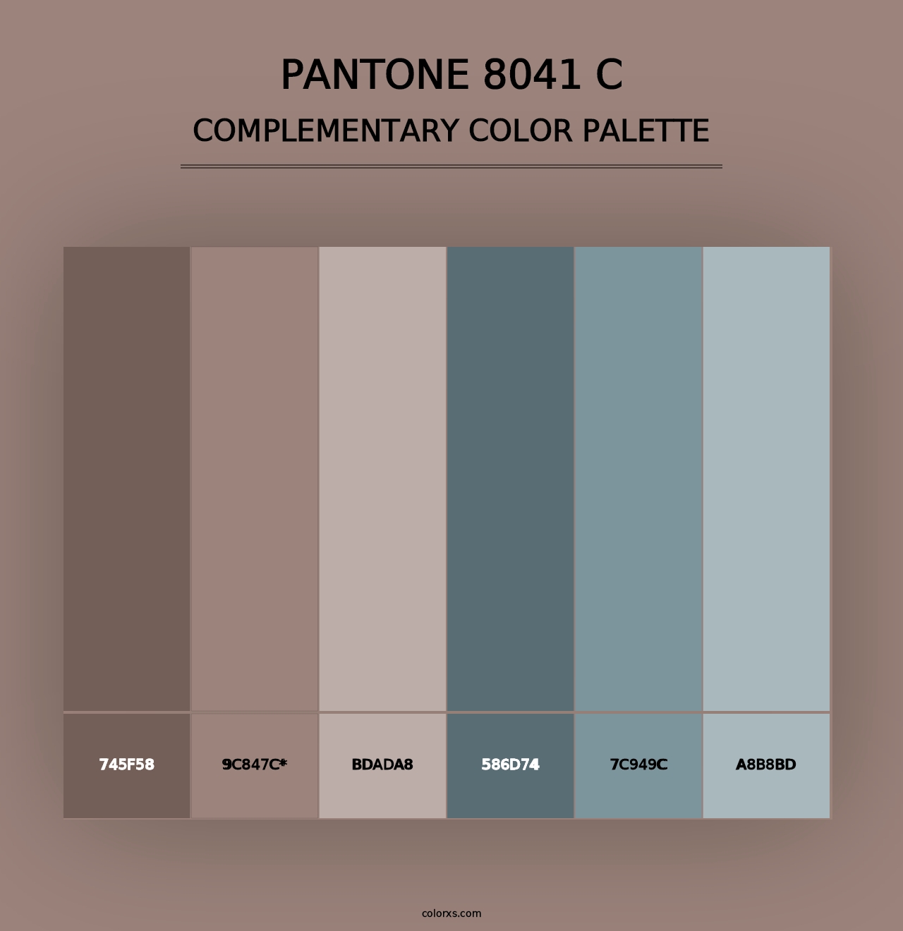 PANTONE 8041 C - Complementary Color Palette