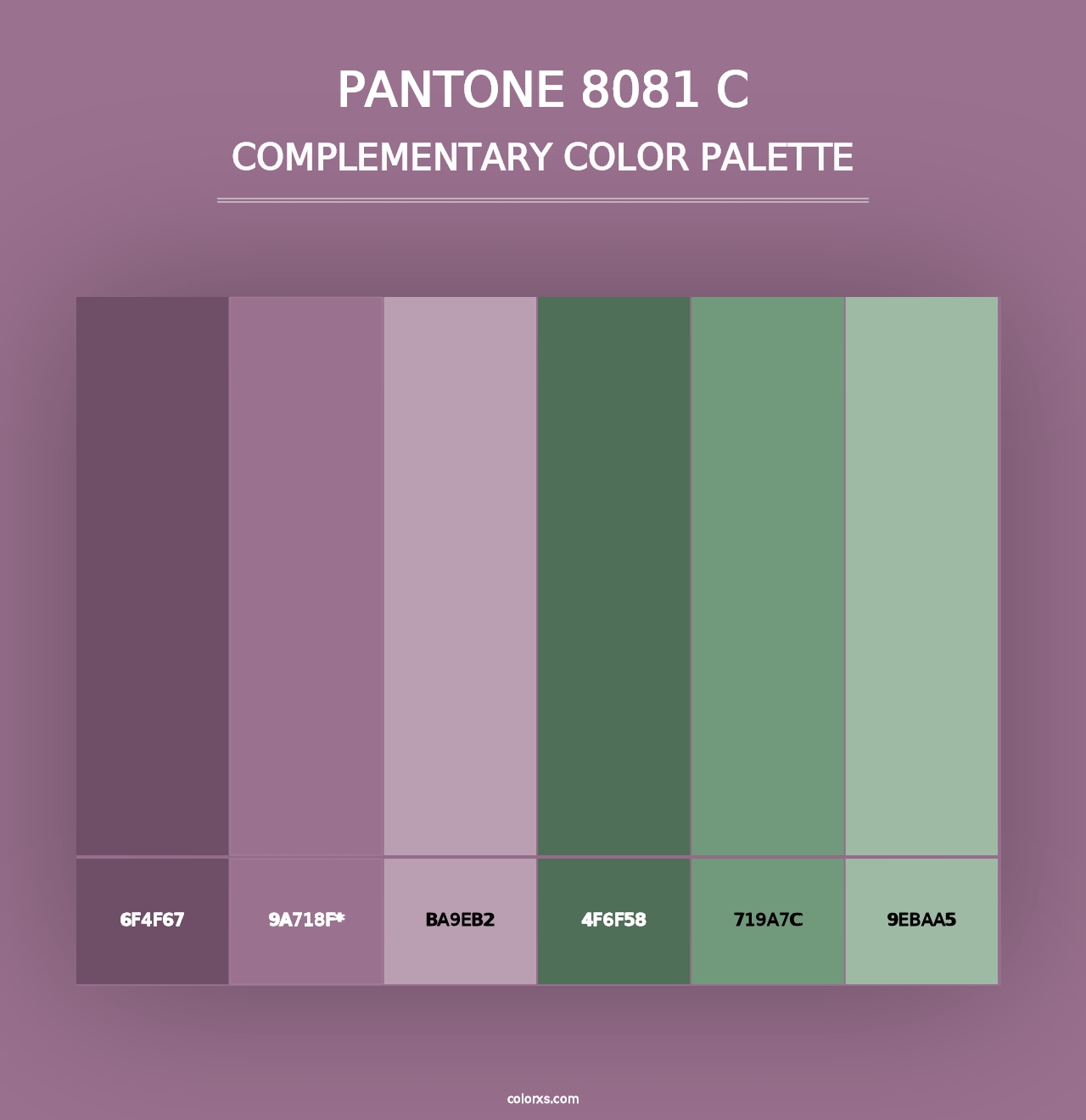 PANTONE 8081 C - Complementary Color Palette