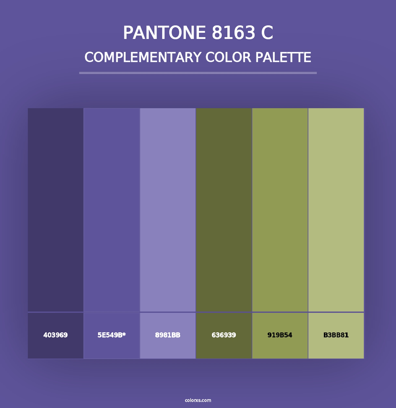 PANTONE 8163 C - Complementary Color Palette