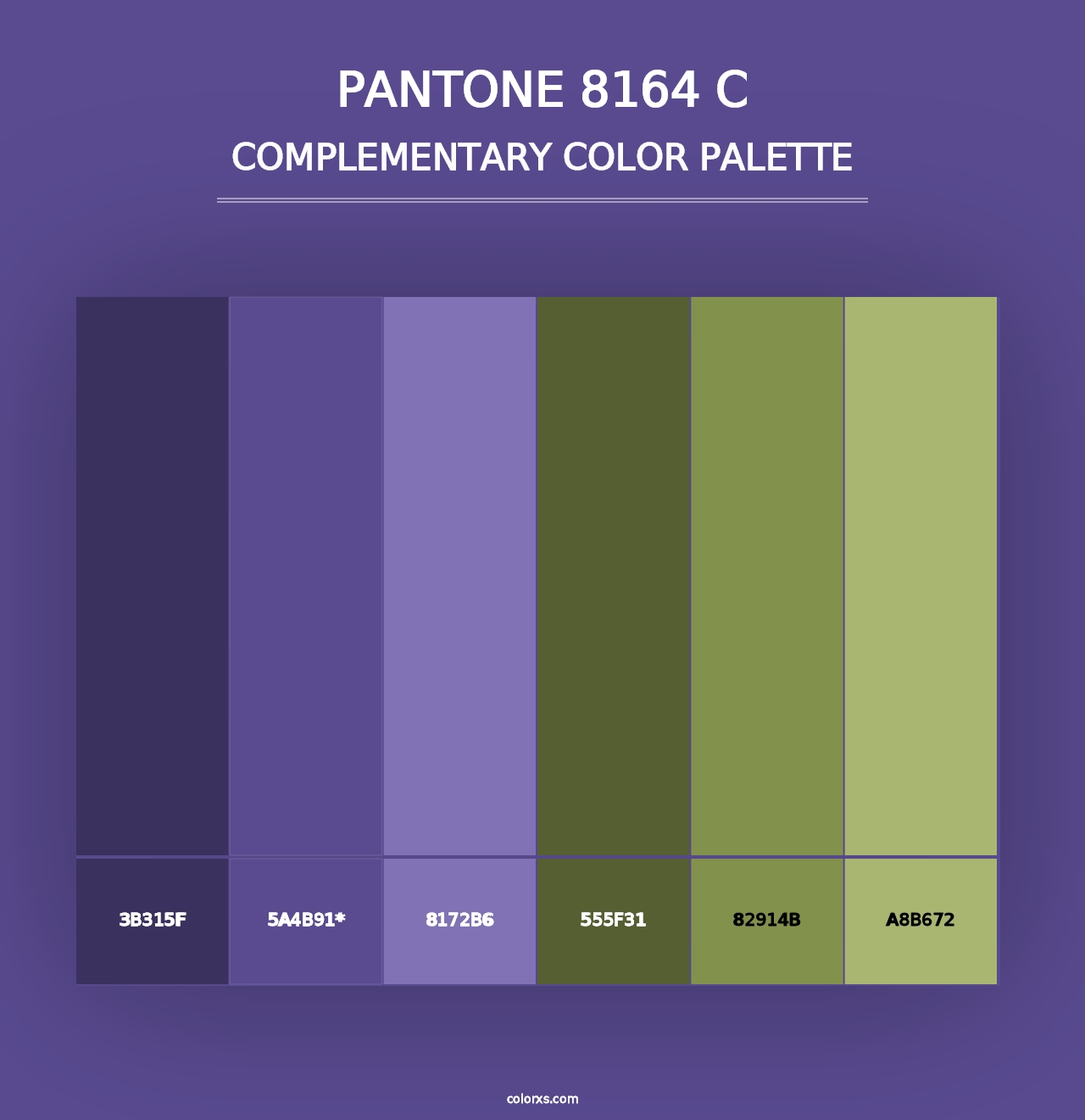 PANTONE 8164 C - Complementary Color Palette