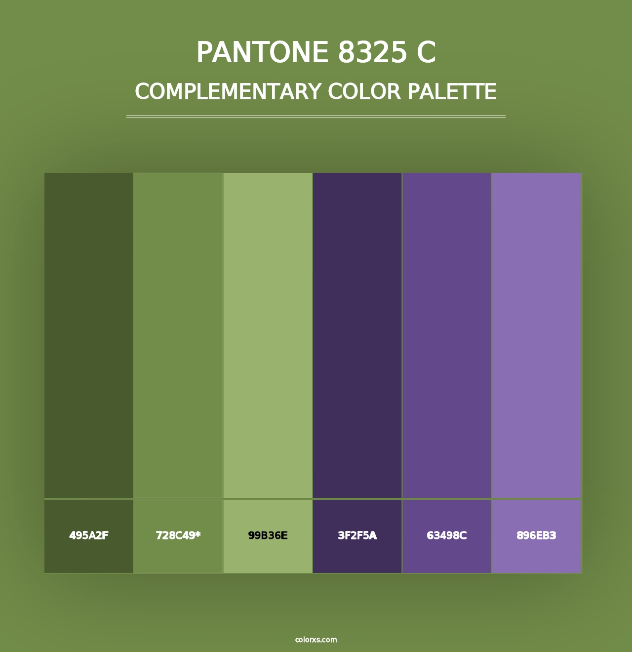 PANTONE 8325 C - Complementary Color Palette