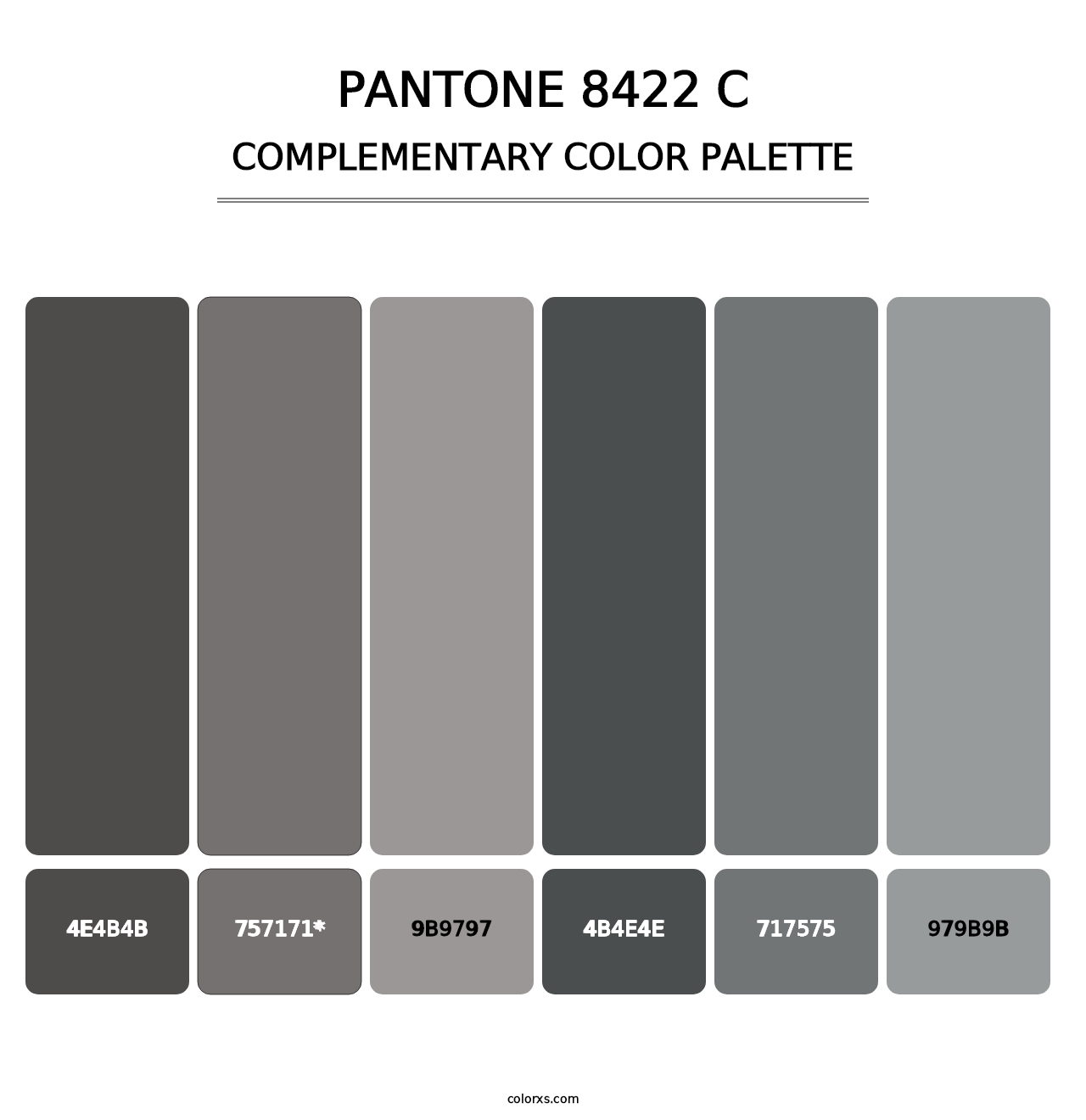 PANTONE 8422 C - Complementary Color Palette