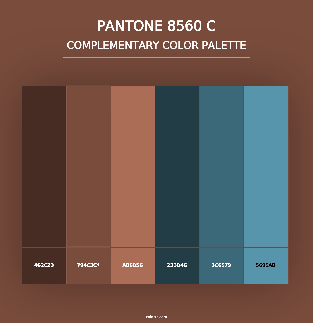 PANTONE 8560 C - Complementary Color Palette