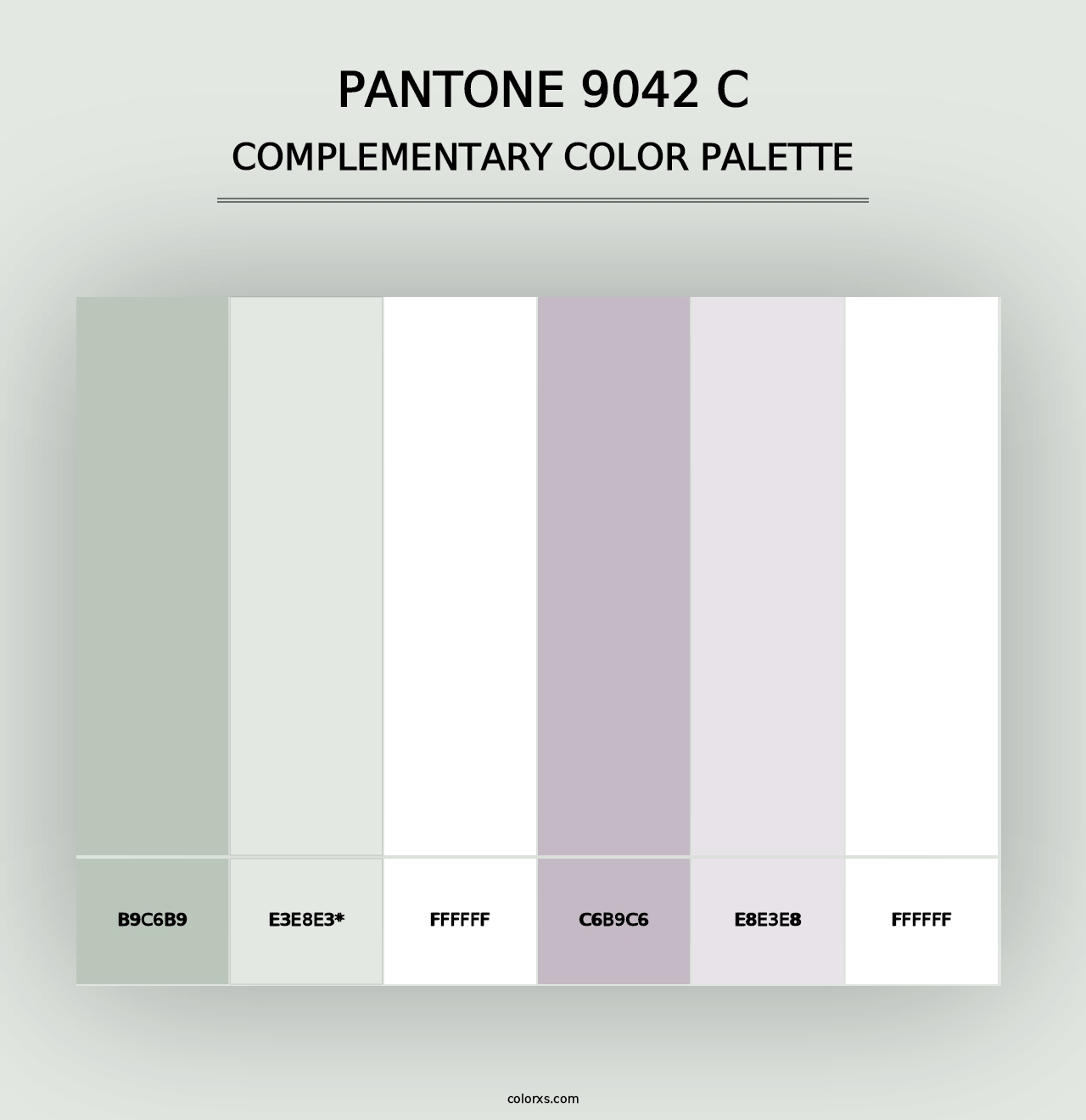 PANTONE 9042 C - Complementary Color Palette