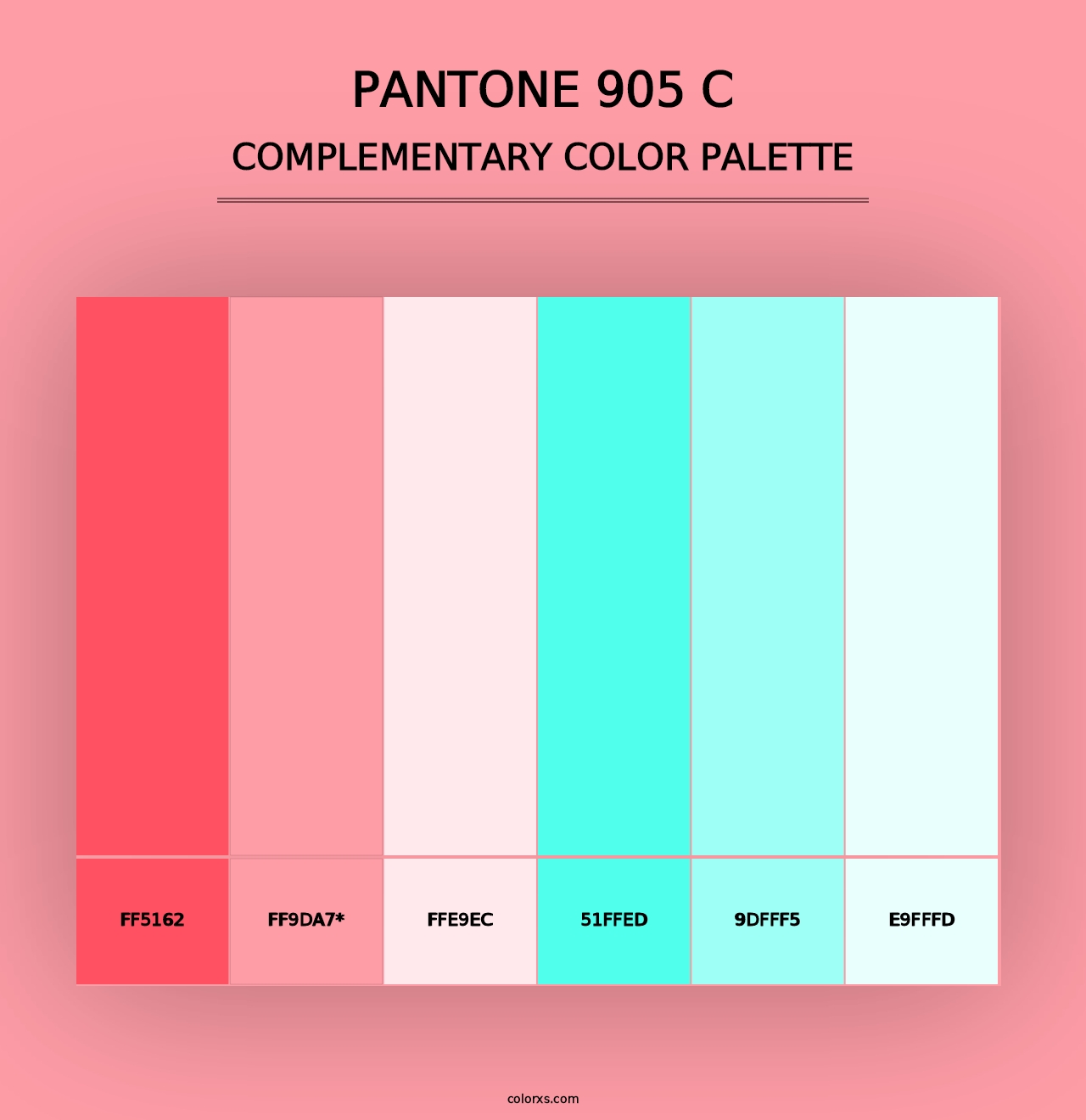 PANTONE 905 C - Complementary Color Palette