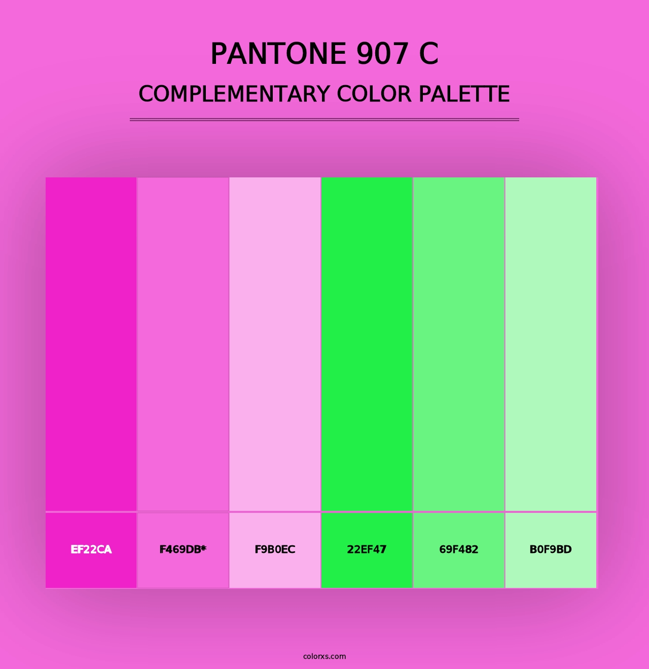 PANTONE 907 C - Complementary Color Palette