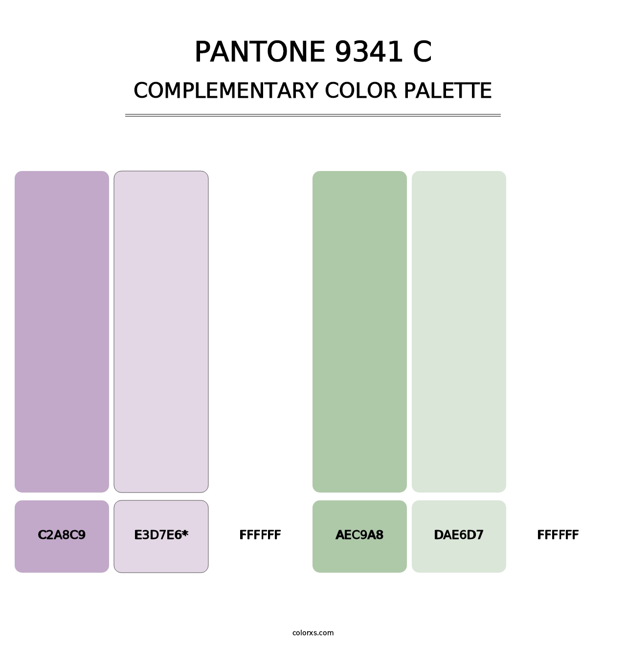 PANTONE 9341 C - Complementary Color Palette