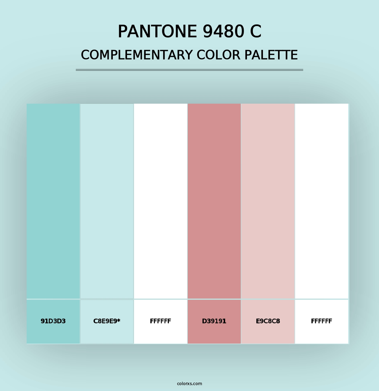 PANTONE 9480 C - Complementary Color Palette