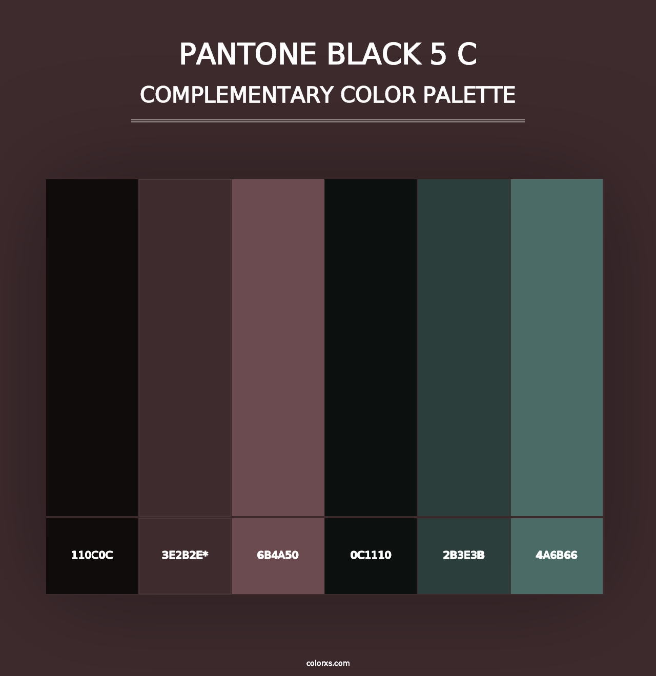 PANTONE Black 5 C - Complementary Color Palette