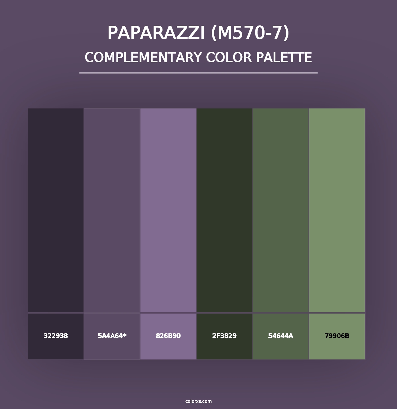 Paparazzi (M570-7) - Complementary Color Palette