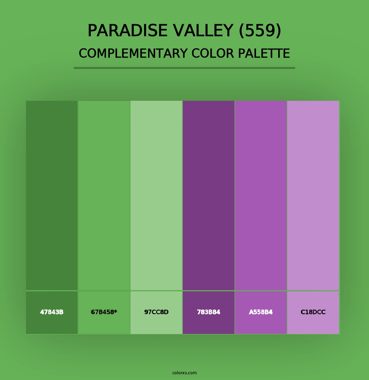 Paradise Valley (559) - Complementary Color Palette