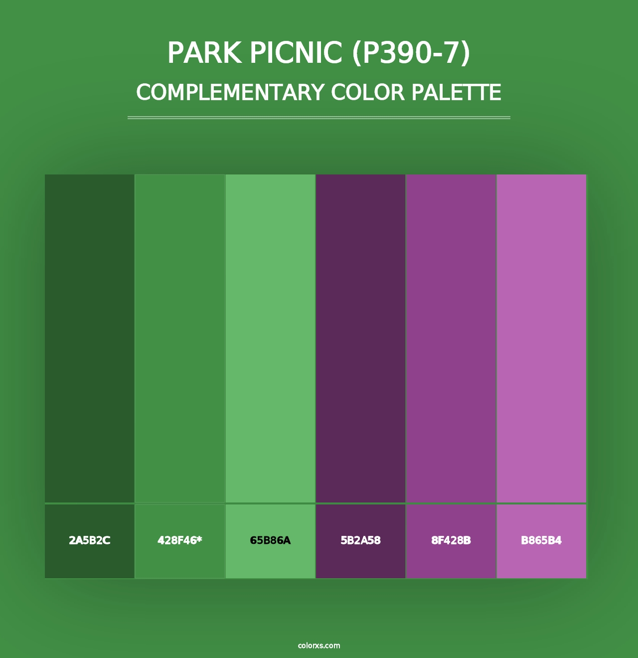 Park Picnic (P390-7) - Complementary Color Palette