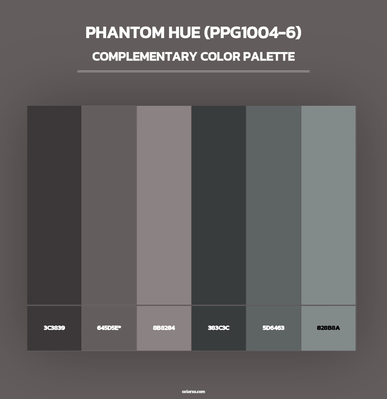 Phantom Hue (PPG1004-6) - Complementary Color Palette