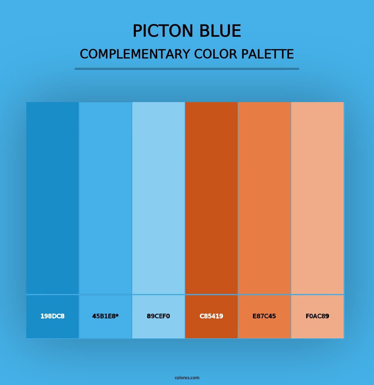 Picton Blue - Complementary Color Palette